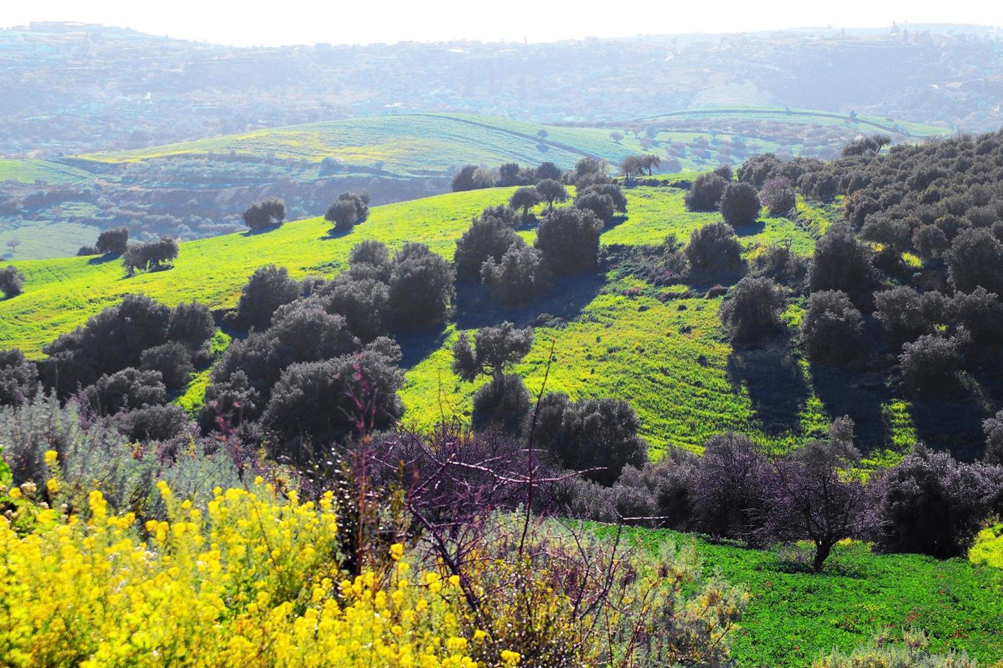 Agriturismo Giannavi Палаццоло-Акреїде Екстер'єр фото
